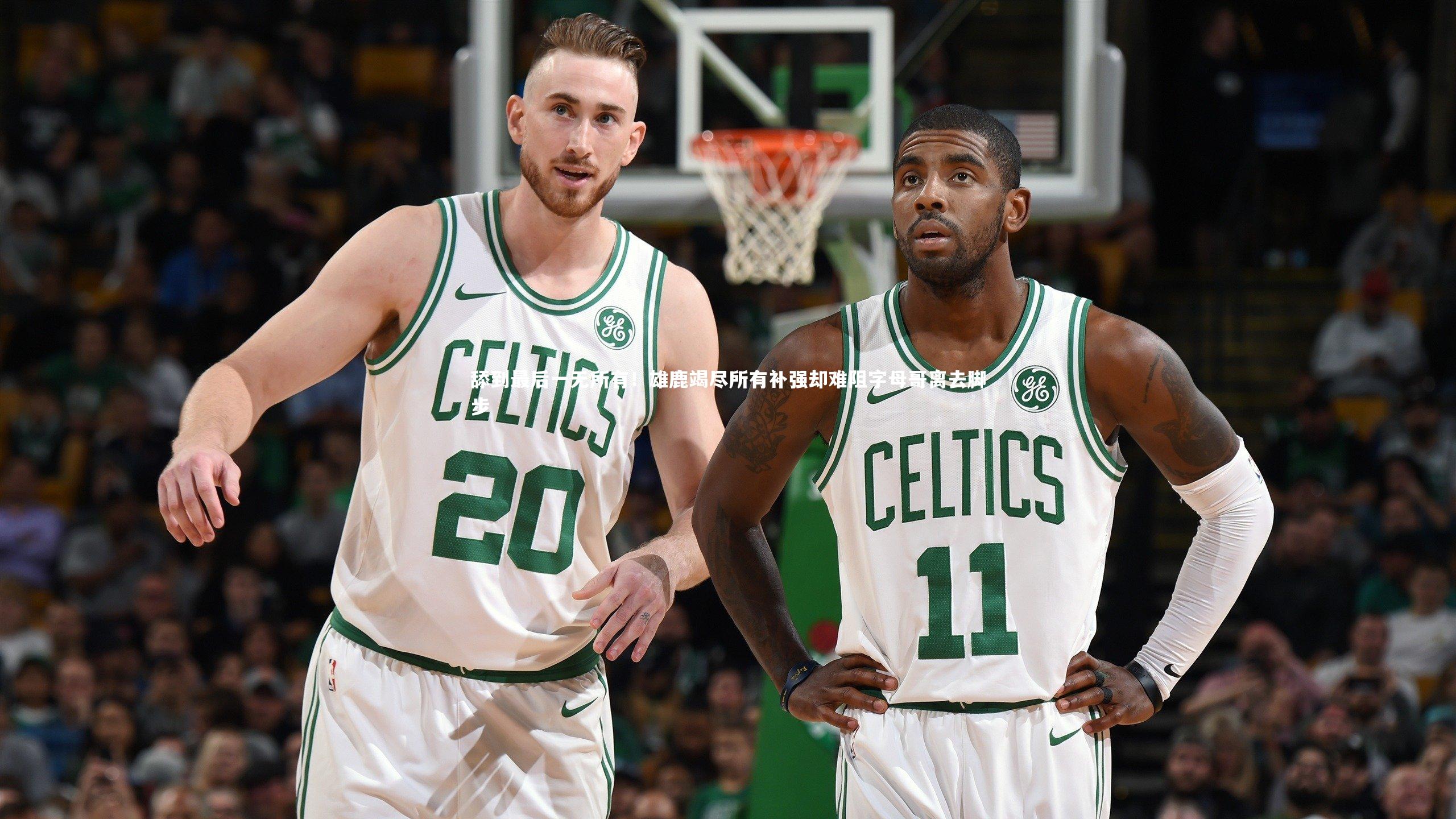 南宫28|舔到最后一无所有！雄鹿竭尽所有补强却难阻字母哥离去脚步